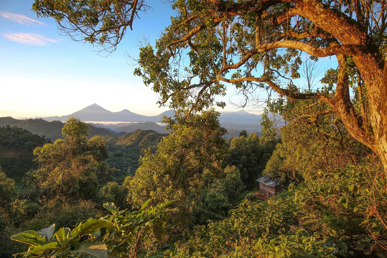Nkuringo Bwindi Gorilla Lodge Exterior foto